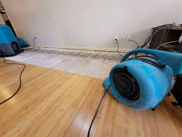 Professional Structural Drying technician working in Seth, WV